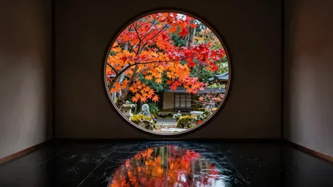 MY MOM'S FRIEND - MARIA NAGAI Jasa Ekspedisi & Logistik Internasional Door to Door bokep indo 🏆 image 1